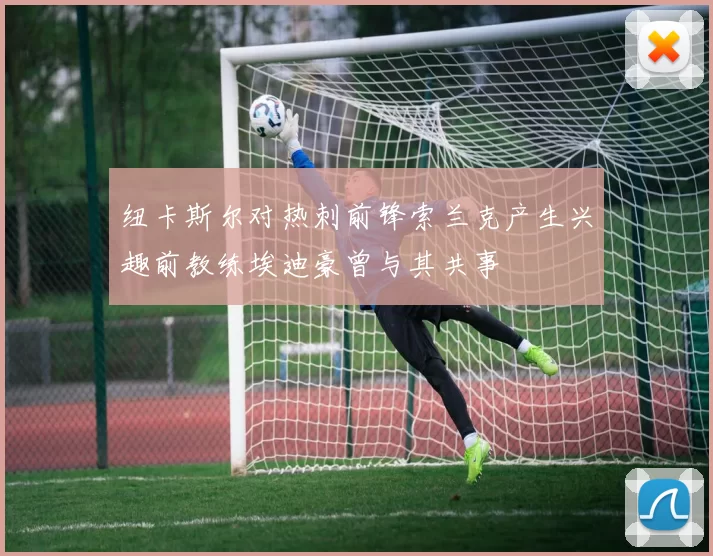 纽卡斯尔对热刺前锋索兰克产生兴趣前教练埃迪豪曾与其共事
